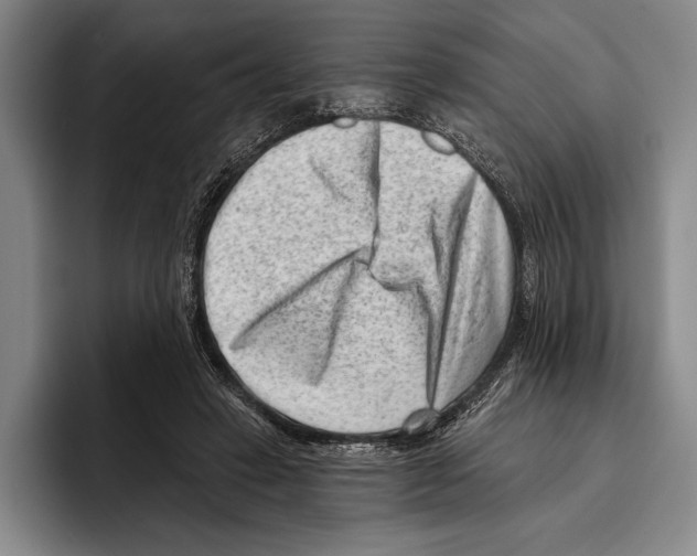 X0000096130449200802151317