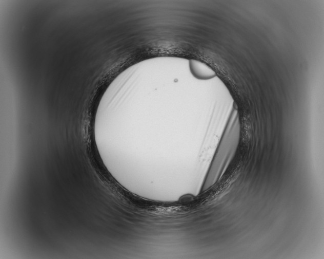 X0000096130450200802151317