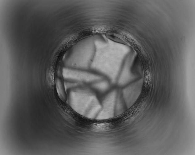 X0000096130452200802151317