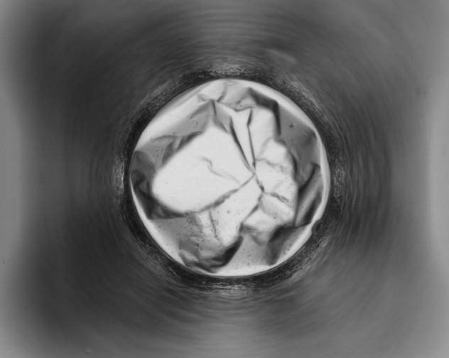 X0000096130454200802151317