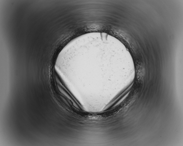 X0000096130455200802151317