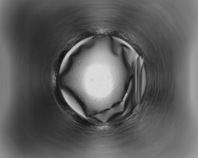 X0000096130456200802151317