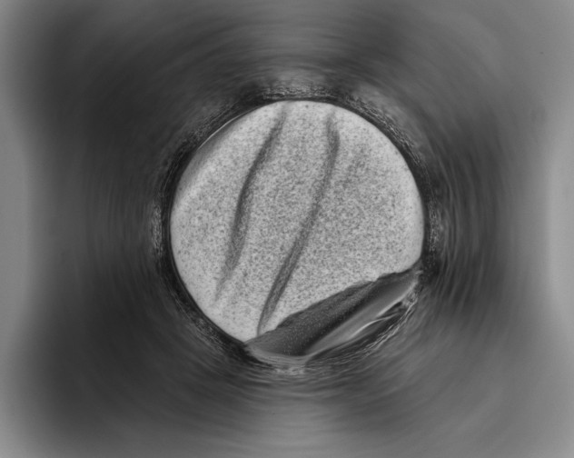 X0000096130457200802151317