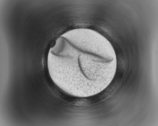 X0000096130459200802151317