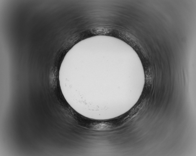 X0000096130460200802151317