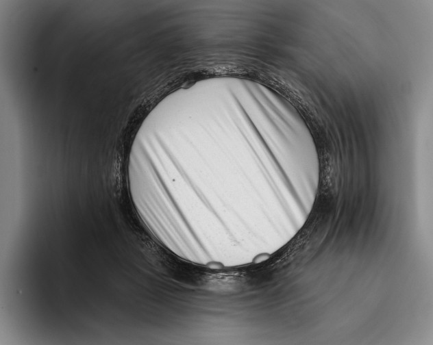 X0000096130461200802151317