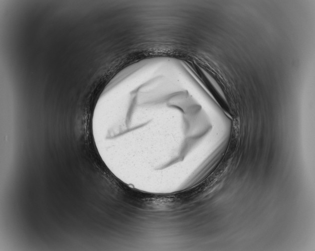 X0000096130462200802151317