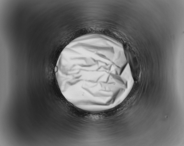 X0000096130464200802151317