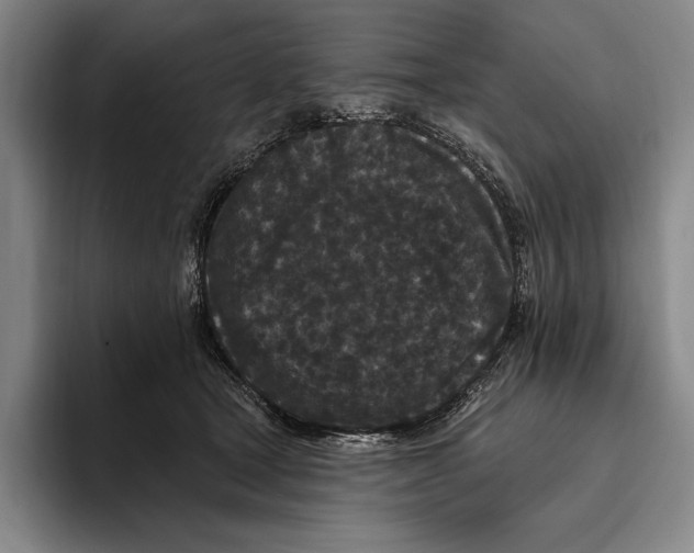 X0000096130465200802151317