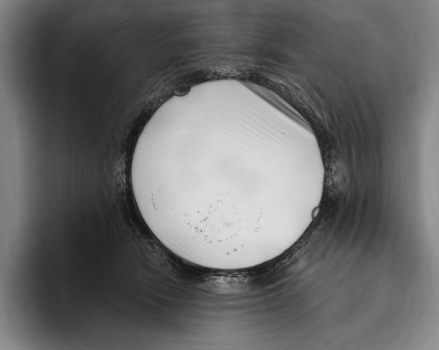 X0000096130466200802151317