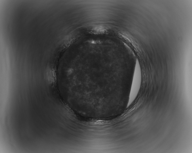 X0000096130467200802151317