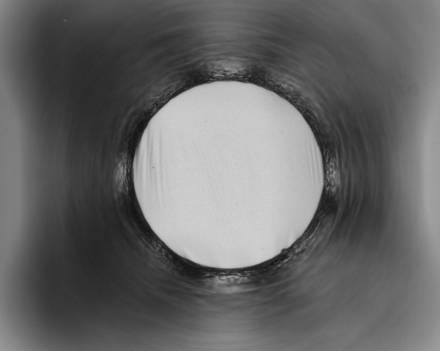 X0000096130468200802151317