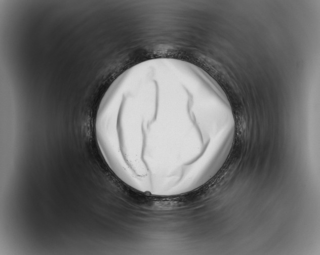 X0000096130470200802151317