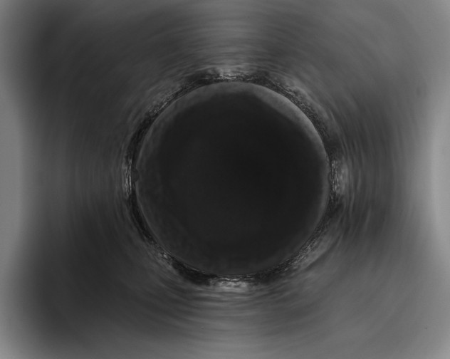 X0000096130471200802151317