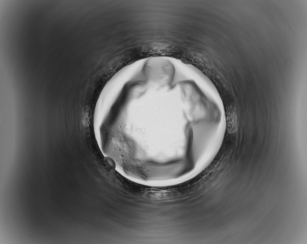 X0000096130472200802151317