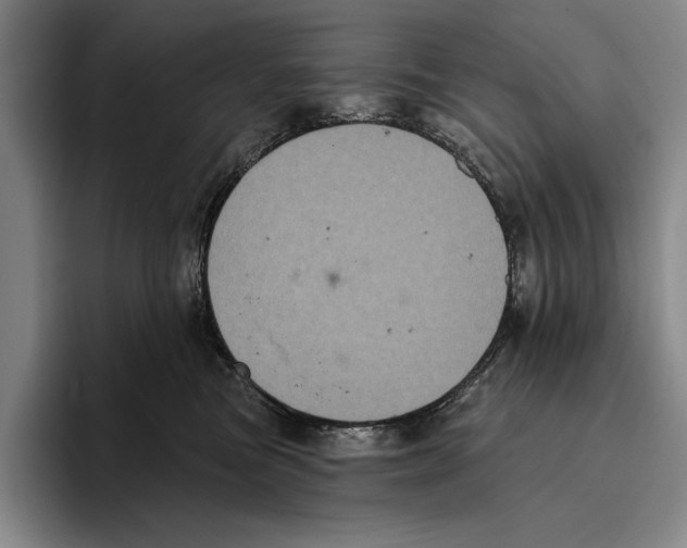 X0000096130473200802151317