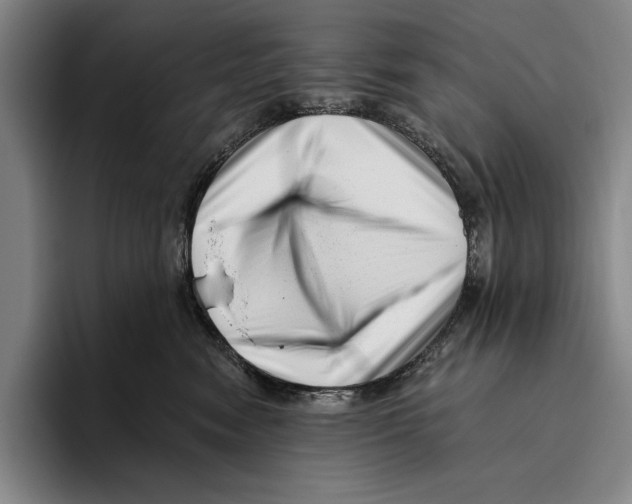 X0000096130474200802151317