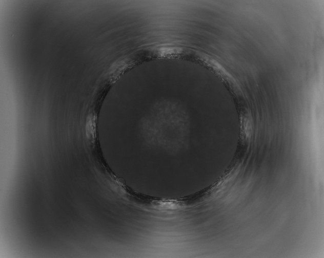 X0000096130475200802151317