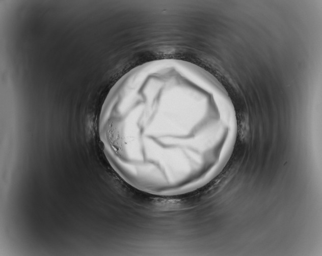 X0000096130476200802151317