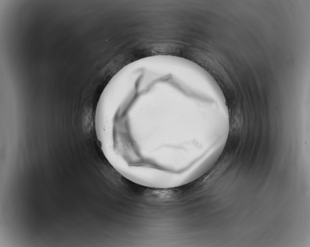 X0000096130478200802151317