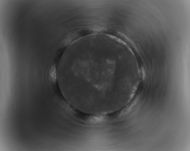 X0000096130479200802151317