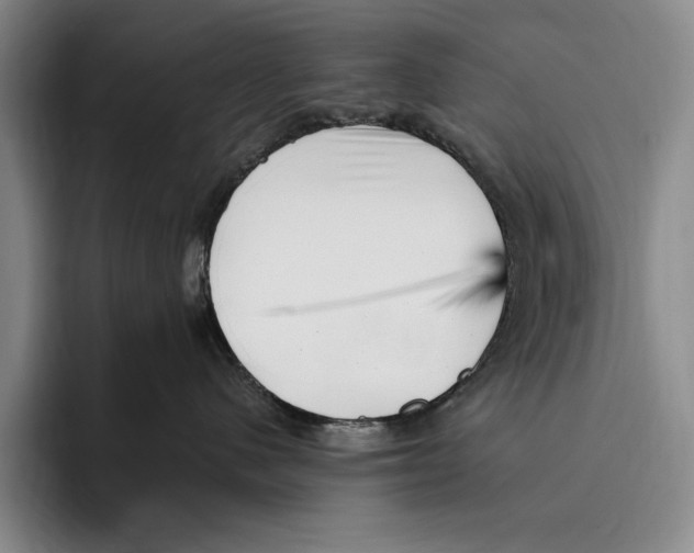 X0000096130480200802151317