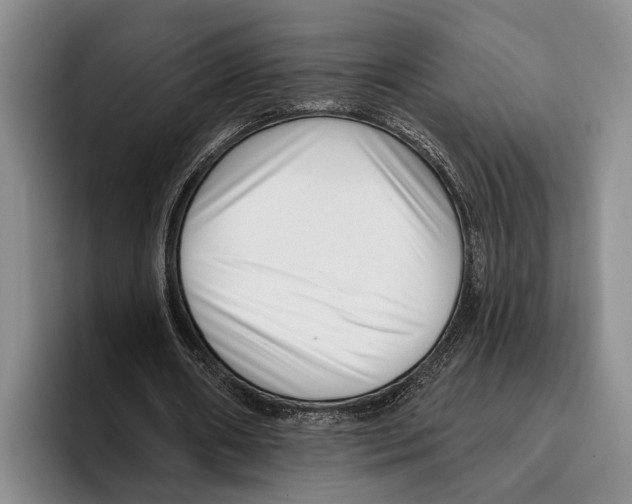 X0000096130482200802151317