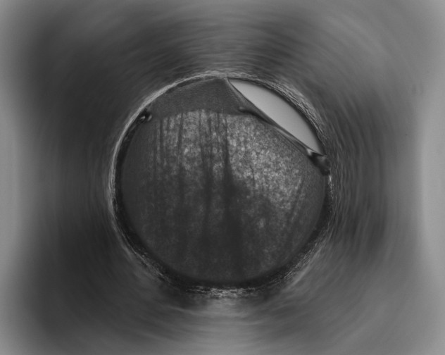 X0000096130484200802151317