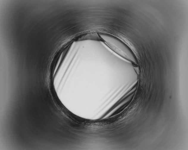 X0000096130485200802151317