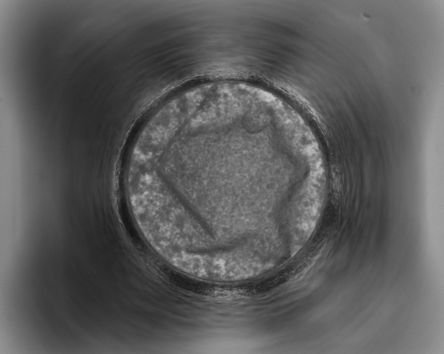 X0000096130487200802151317