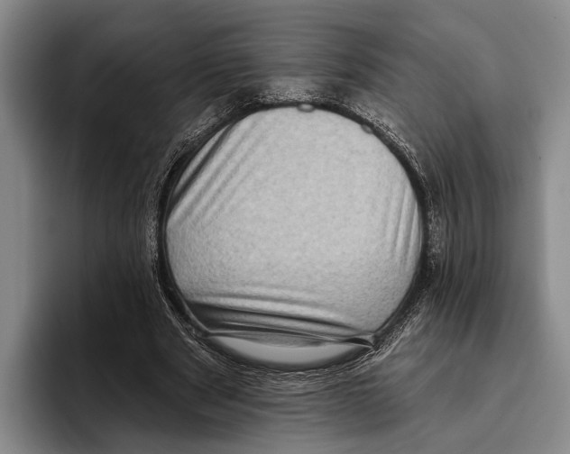 X0000096130489200802151317