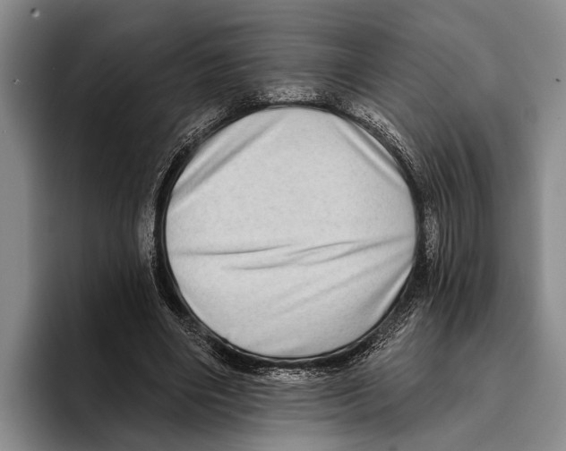 X0000096130490200802151317