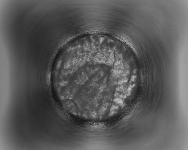 X0000096130491200802151317