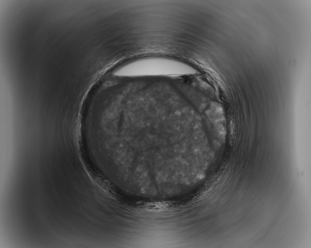 X0000096130492200802151317