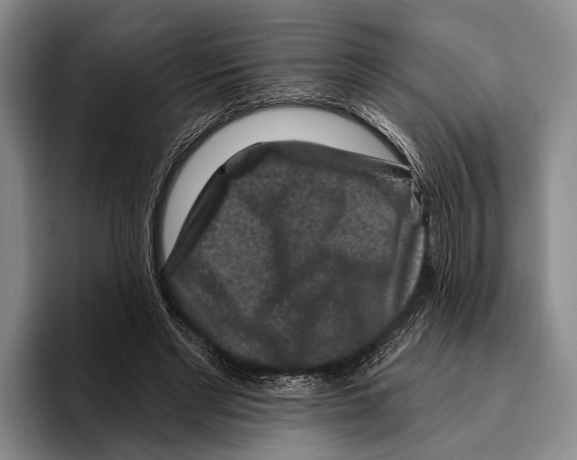 X0000096130493200802151317