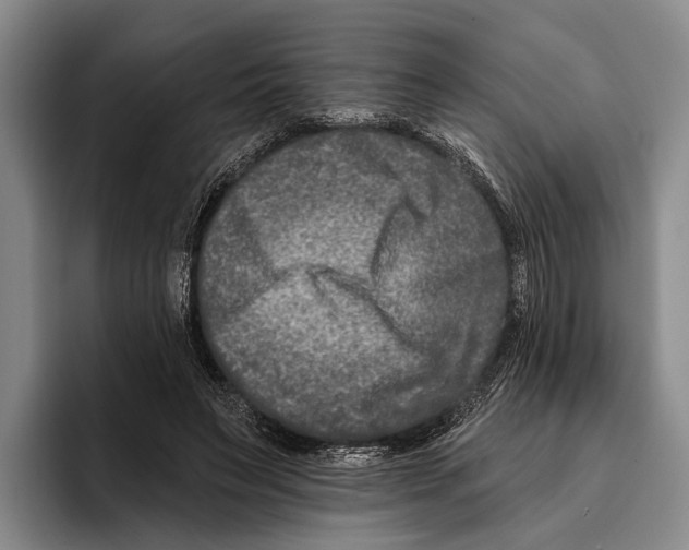 X0000096130495200802151317