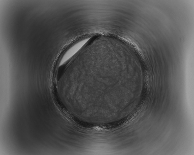 X0000096130496200802151317