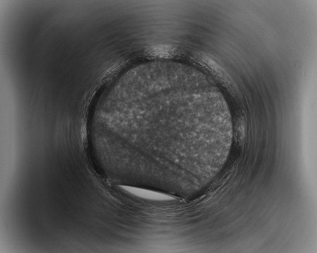 X0000096130500200802151316