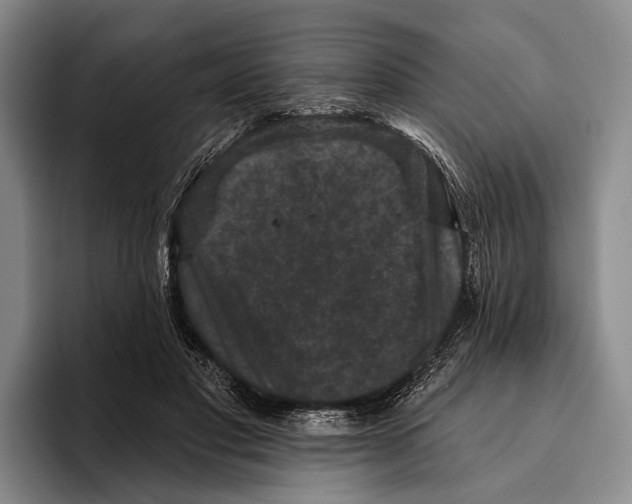 X0000096130501200802151316