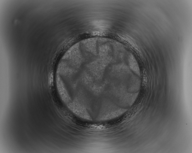 X0000096130502200802151316