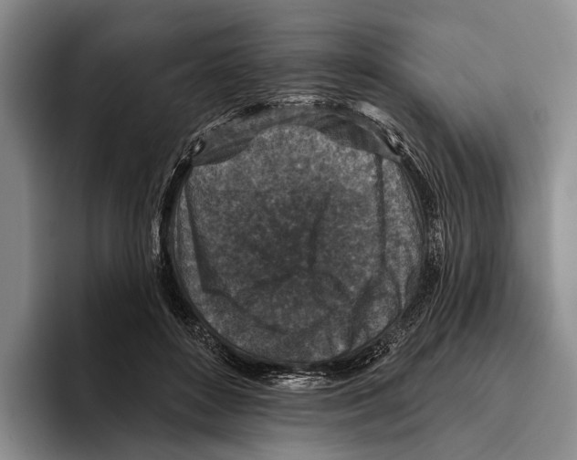 X0000096130504200802151316