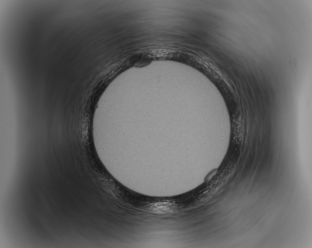 X0000096130505200802151316