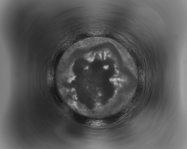 X0000096130507200802151316