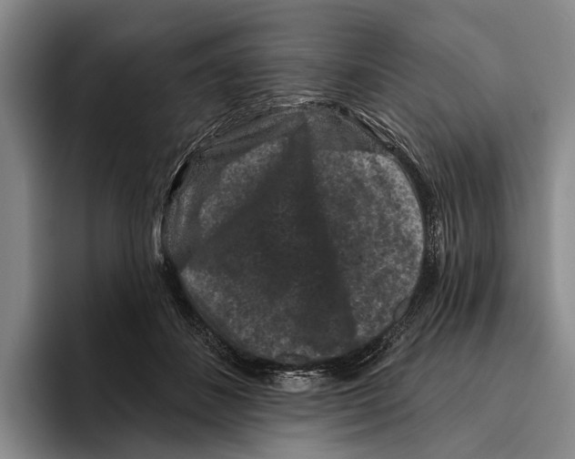 X0000096130508200802151316