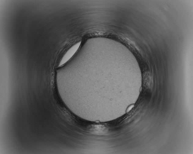 X0000096130509200802151316