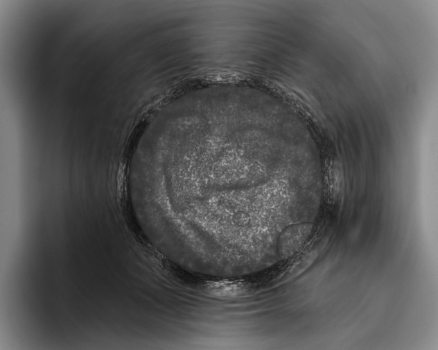 X0000096130511200802151316