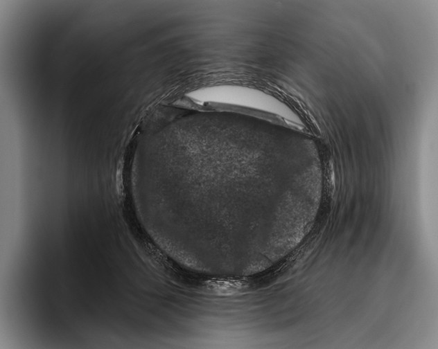 X0000096130512200802151316