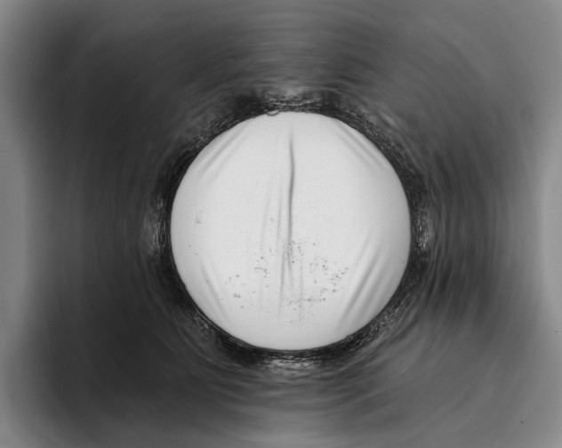 X0000096130515200802151316