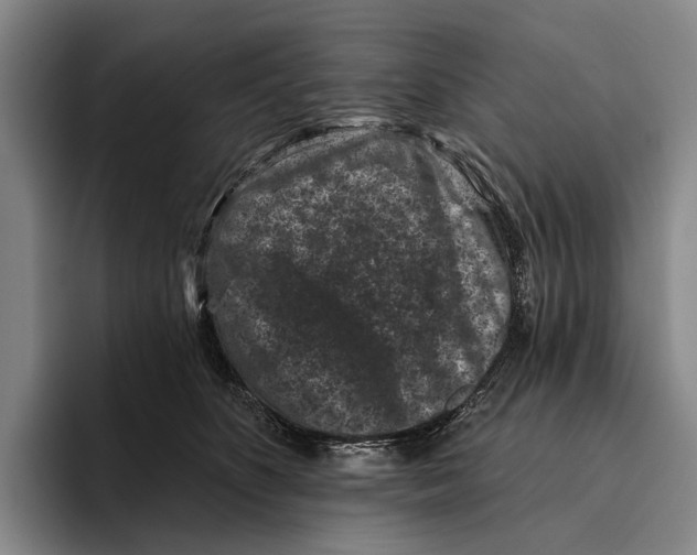 X0000096130516200802151316