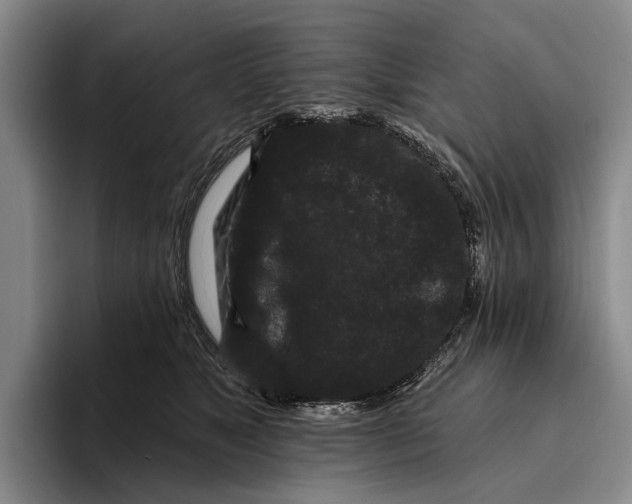 X0000096130517200802151316